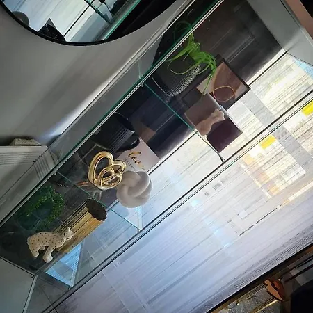 Exotic Jacuzzi With Balcony & Parking 公寓 伯明翰